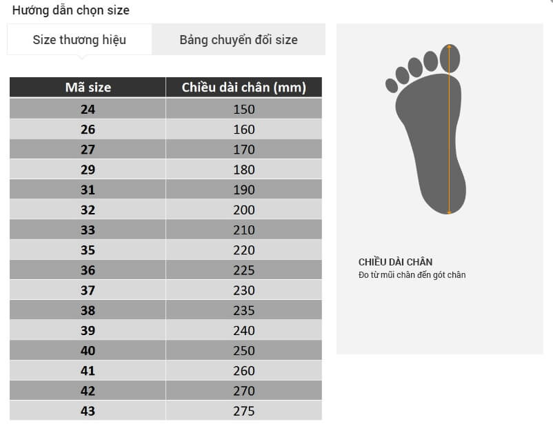 Chọn Size giày Nam